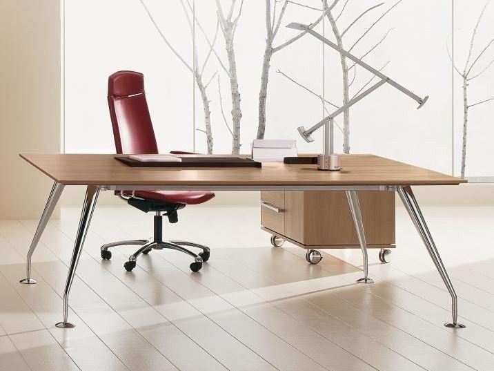 Birou Directorial Enosi 3