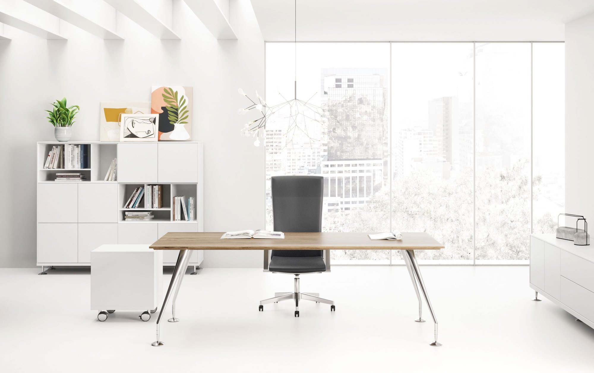 Birou Directorial Enosi 5