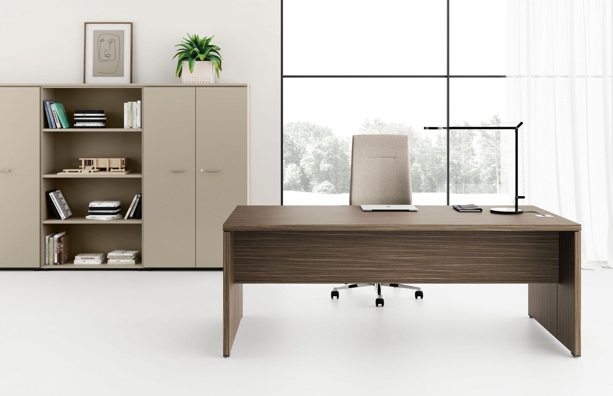 Birou Directorial Delta