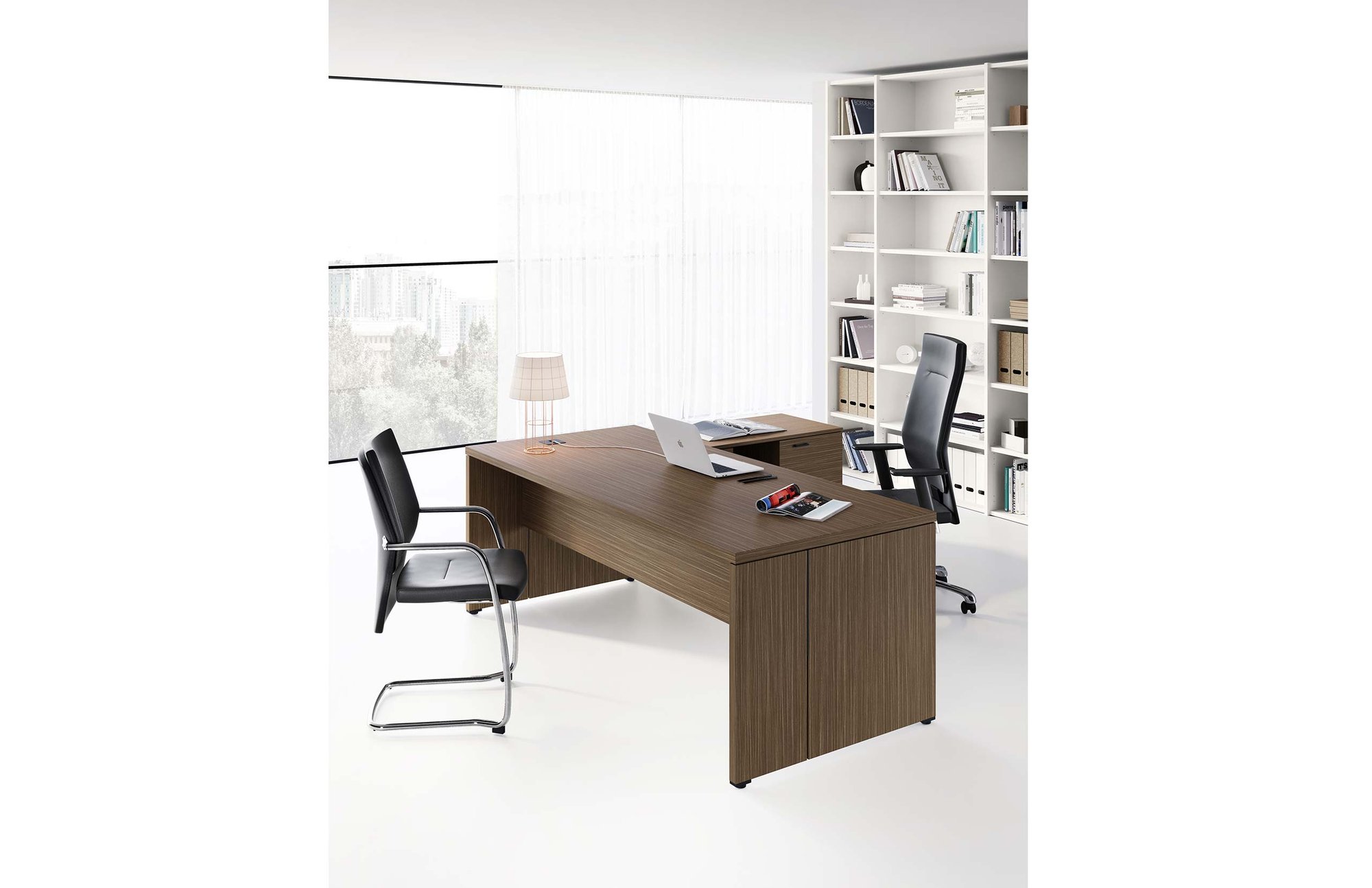 Birou Directorial Delta 3