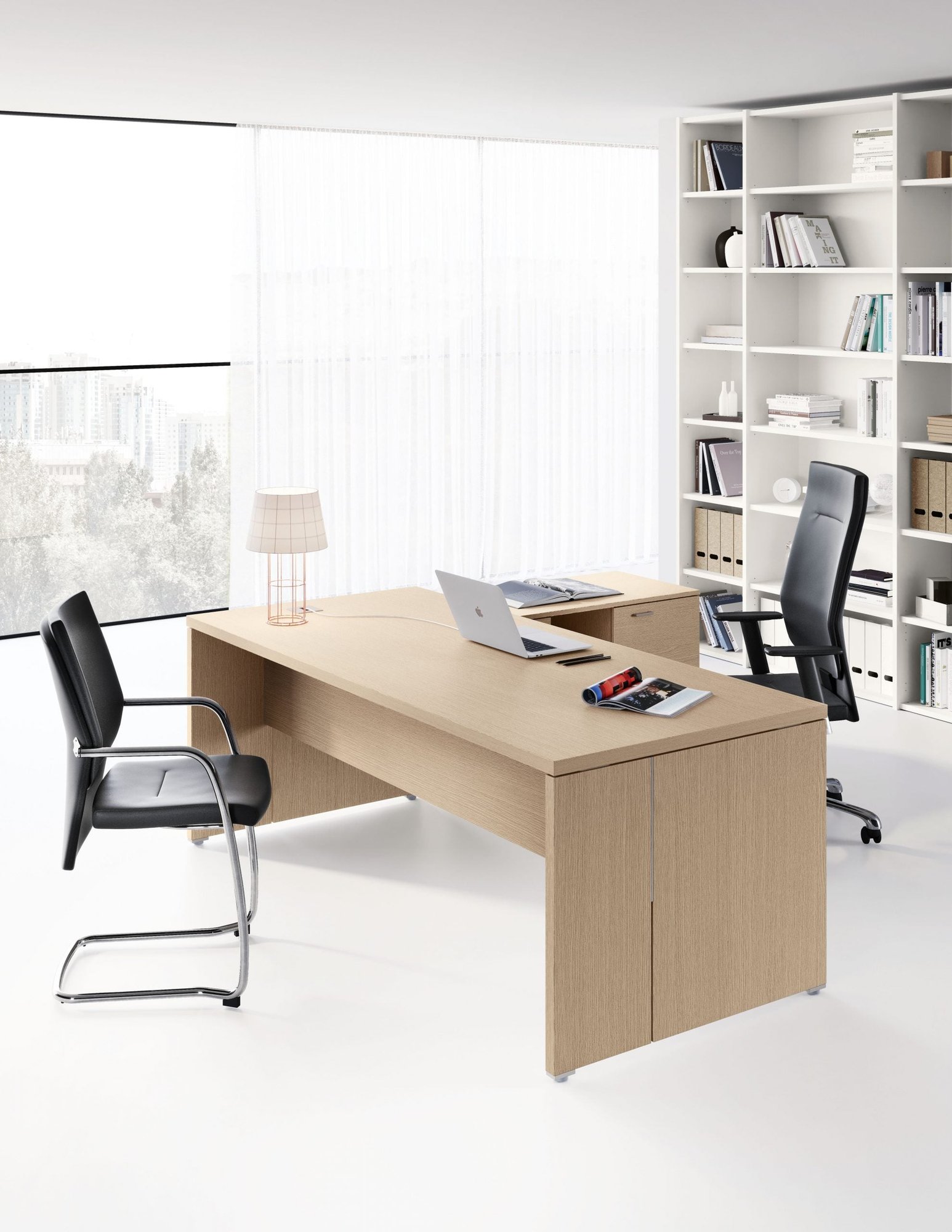 Birou Directorial Delta 2